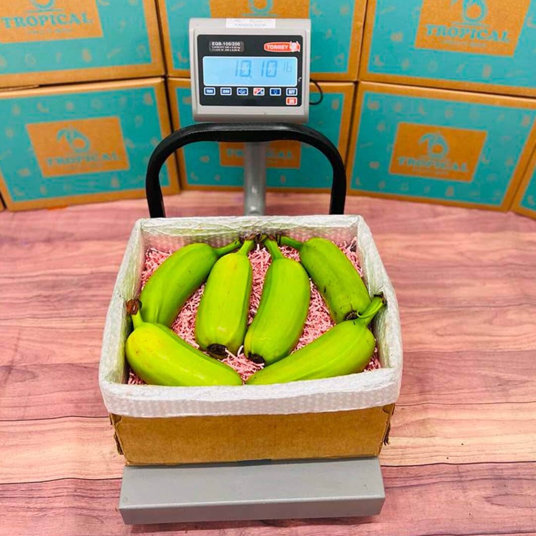 Hawaiian Plantains Box