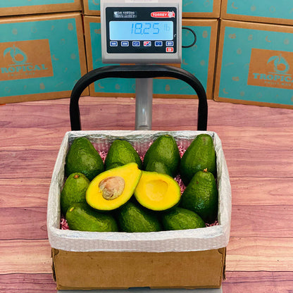 Tropical Avocado Box