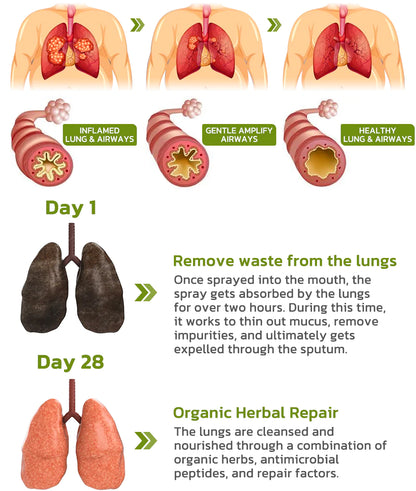 Detox Herbal Lung Cleansing Spray