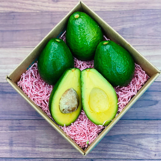 Tropical Avocado Box