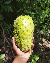 Natures Superfood A1 Soursop