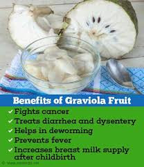 Natures Superfood A1 Soursop