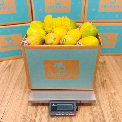 Mingolo Mango Box