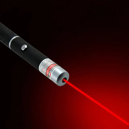 Torch Laser Pen