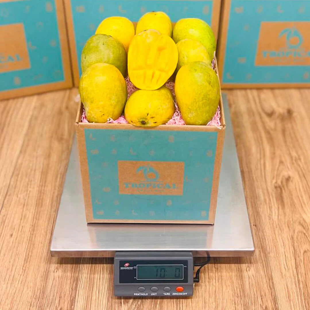 Mingolo Mango Box