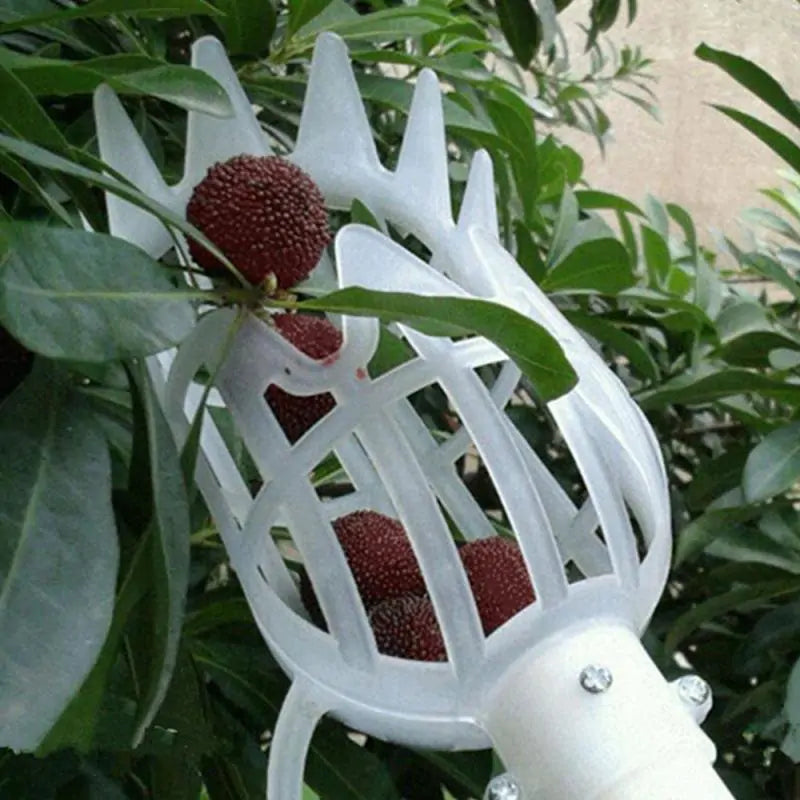 Multi-Color Garden Fruit Picker Head: Plastic Picking Tool