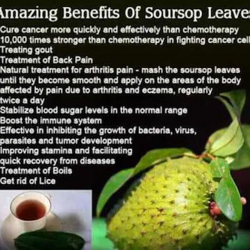 Natures Superfood A1 Soursop