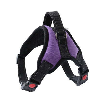 Pet Walking Harness: Adjustable Comfort