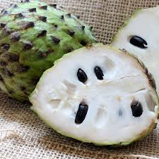 Natures Superfood A1 Soursop