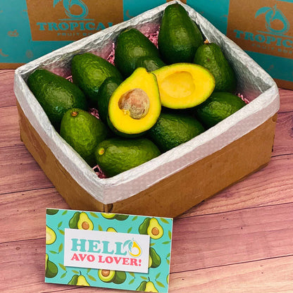 Tropical Avocado Box