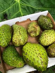 Natures Superfood A1 Soursop