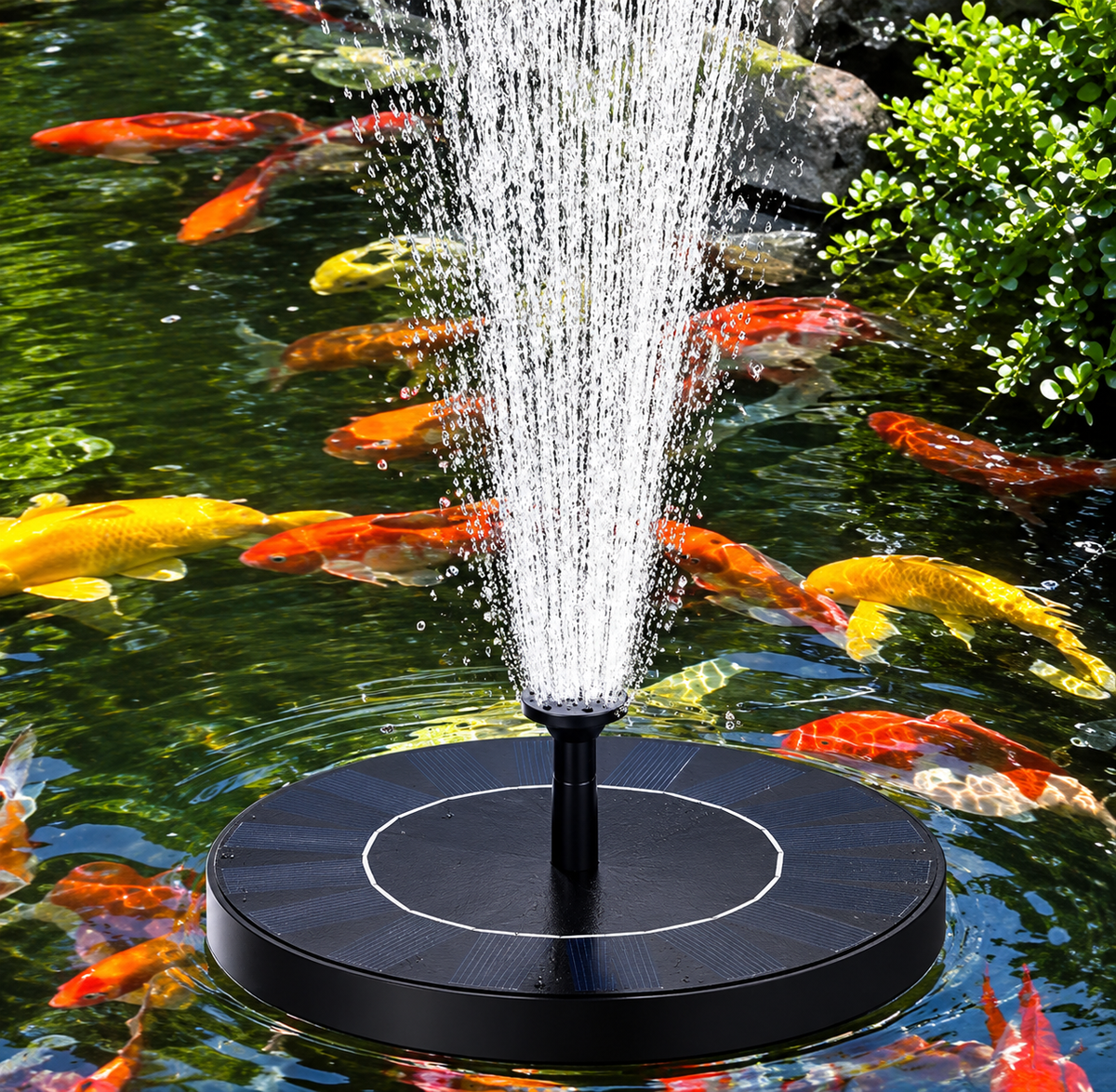 Solar Water Fountain