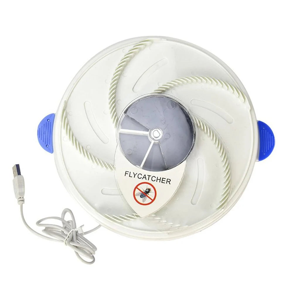 Baby Safe Electric Flycatcher