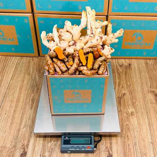 Ginger & Turmeric Box