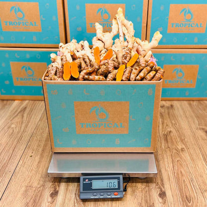 Ginger & Turmeric Box