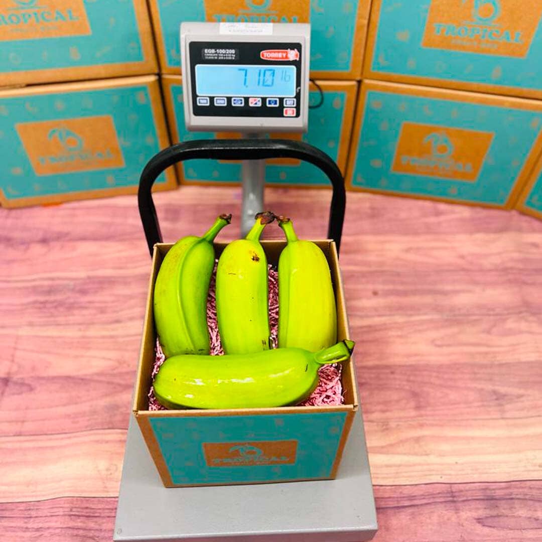 Hawaiian Plantains Box