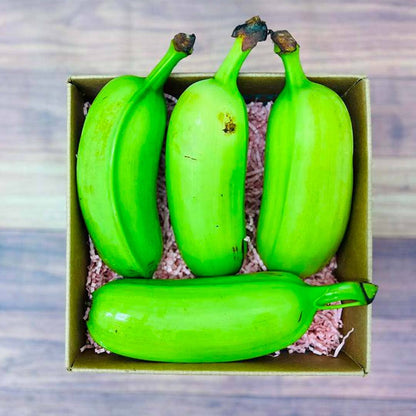 Hawaiian Plantains Box