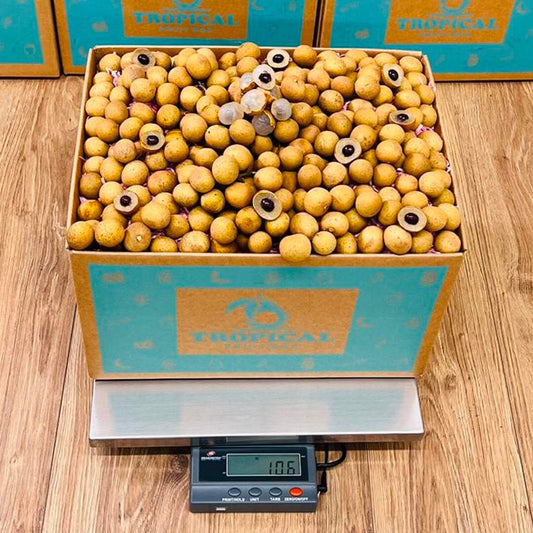 Longan / Dragon Eye Fruit Box