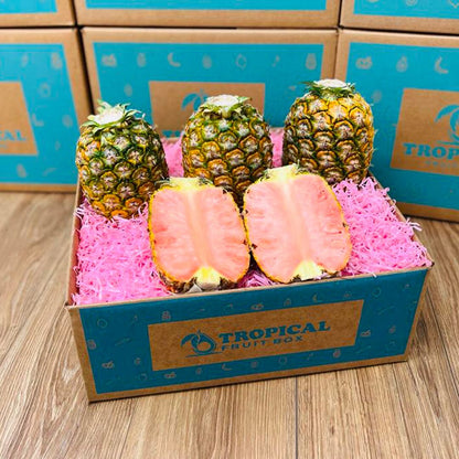 PinkGlow® Pink Pineapple Quartet Box