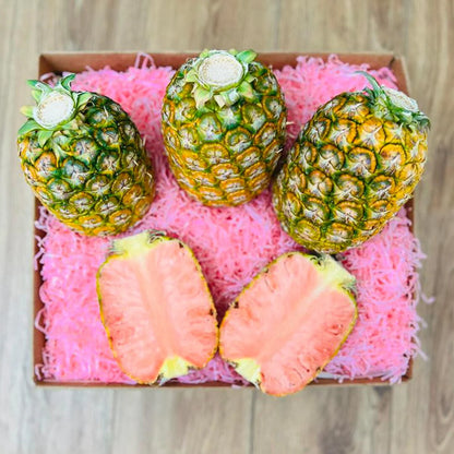 PinkGlow® Pink Pineapple Quartet Box