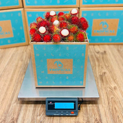Rambutan Box
