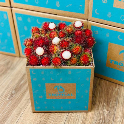 Rambutan Box