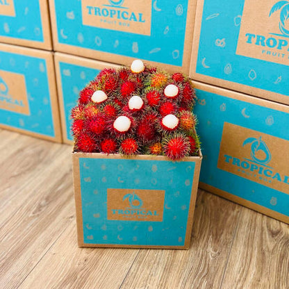 Rambutan Box