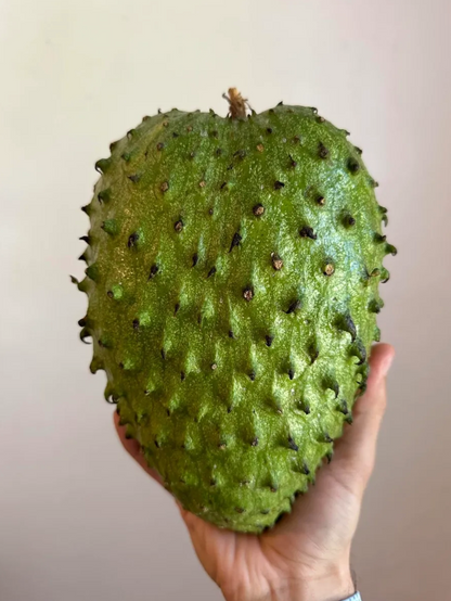 5 Lbs Organic Soursop Fruit Fresh 1 to 5 Guanabana Fruits