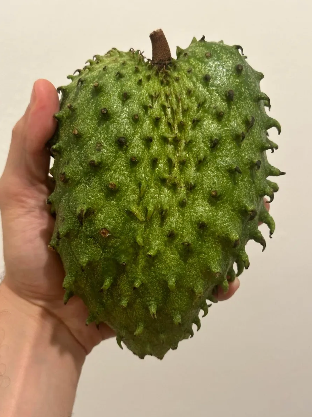 1 Lb Organic Soursop Fruit Fresh Guanabana Fruits