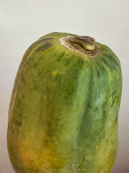 2 Lbs Organic Papaya Fruit Fresh 1 to 2 Papaya Fruits