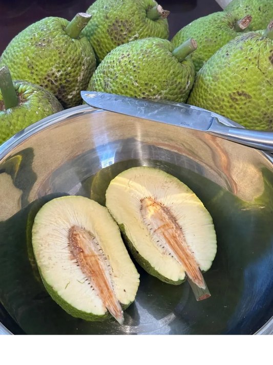 2 Lbs Organic Breadfruit Fresh Panapen Fruit