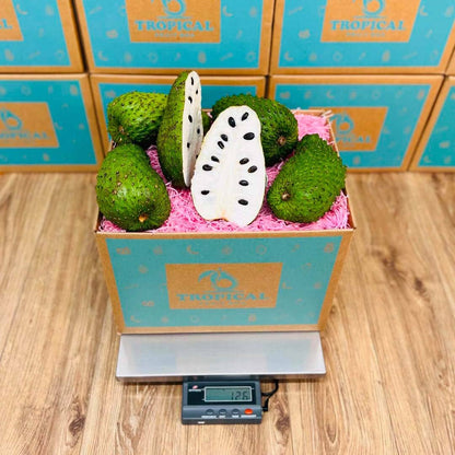 Soursop | Guanabana Fruit Box