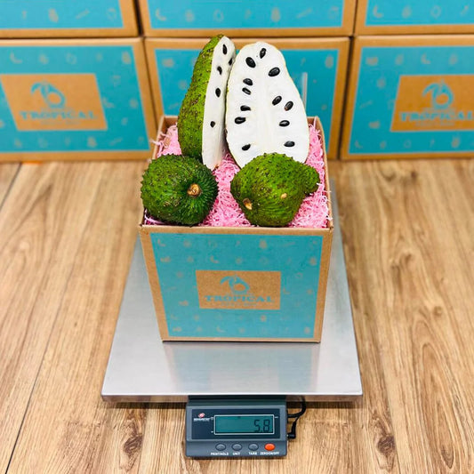 Soursop | Guanabana Fruit Box