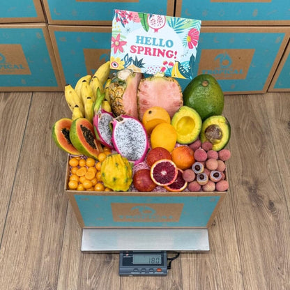 TropiLove Fruit Box