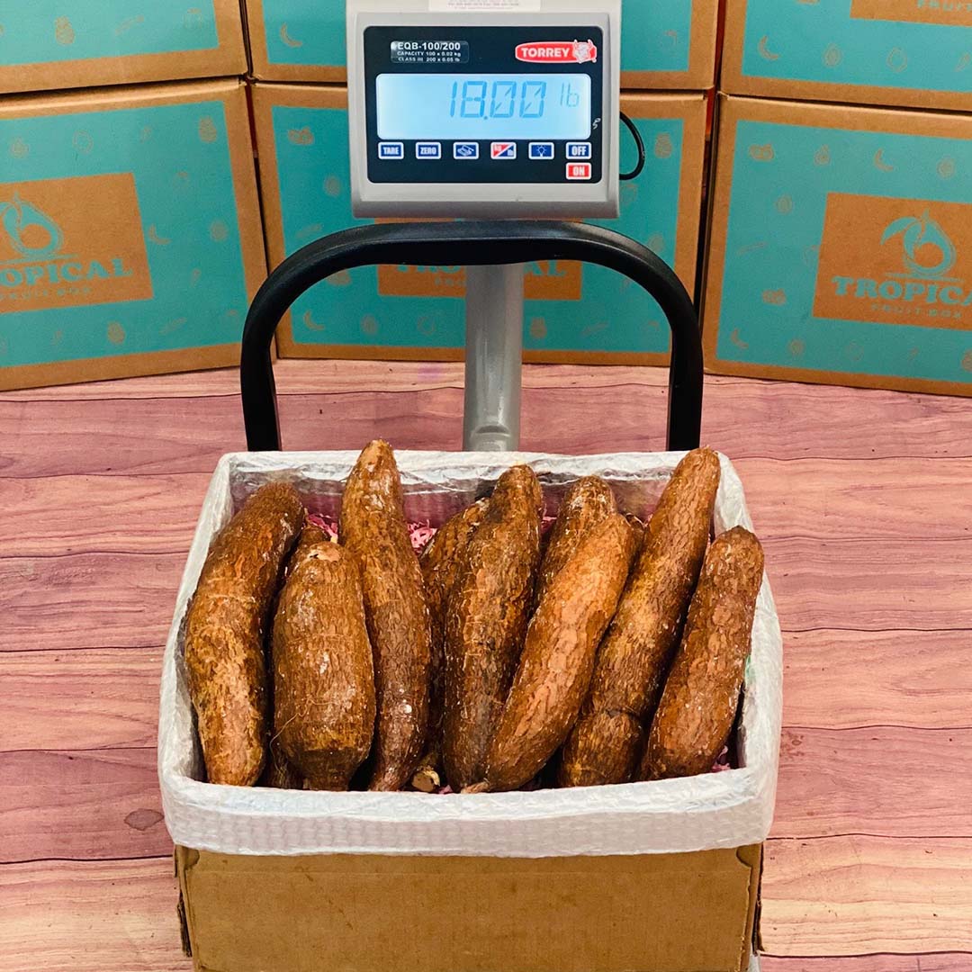 Yuca (Cassava Root) Box