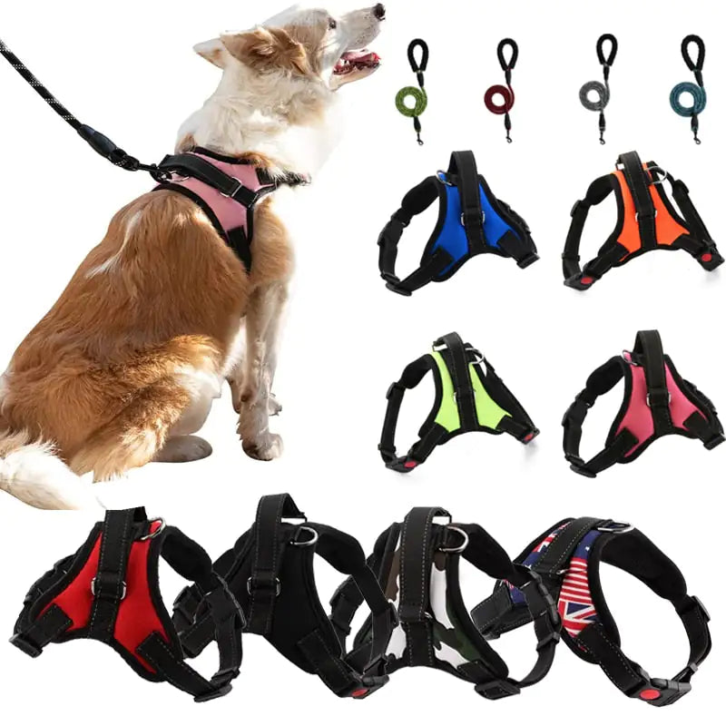 Pet Walking Harness: Adjustable Comfort