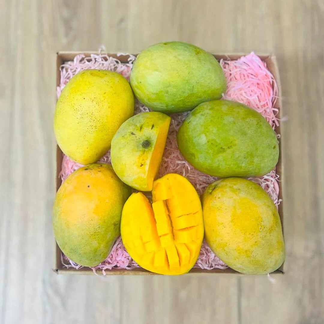 Mingolo Mango Box