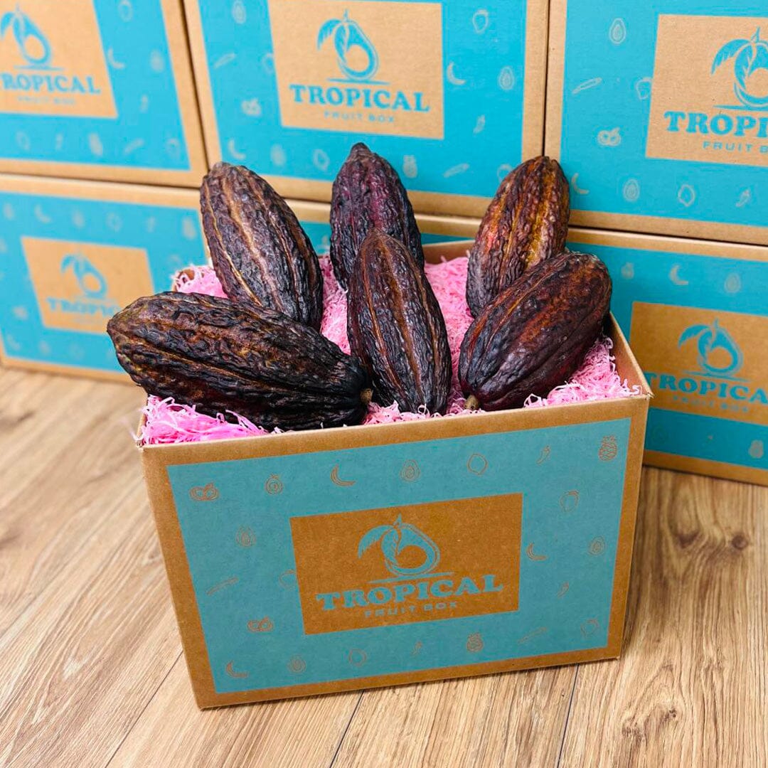Cacao Fruit Box