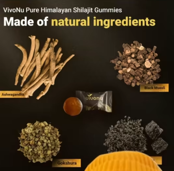 Himalayan Natural Shilajit Gummies