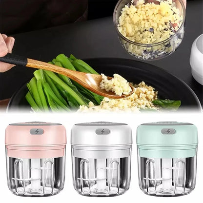 Electric Food Crusher Mini