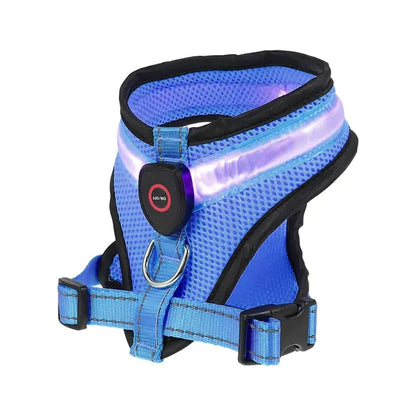 LED Light Dog Harness