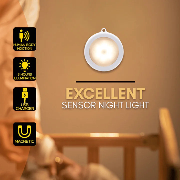 Motion Sensor LED Light