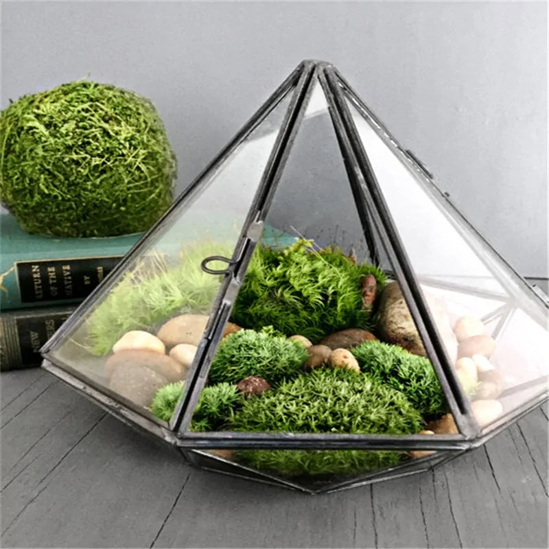 Glass Terrarium