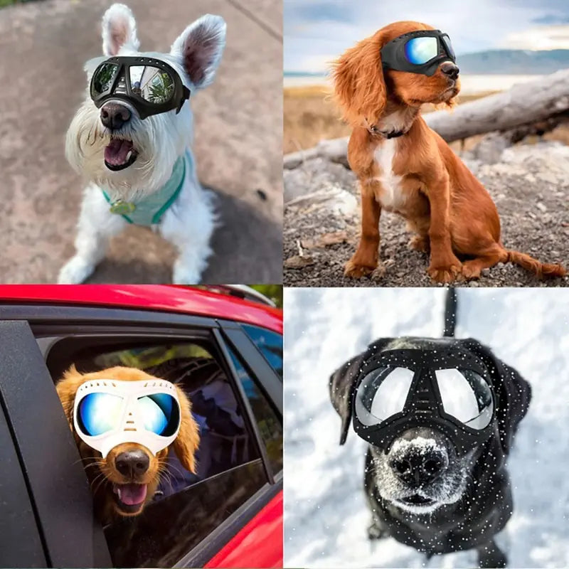 Soft Frame Puppy Glasses